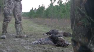 Opening day Florida Turkey Season 2017