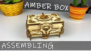 Assembling Amber Box