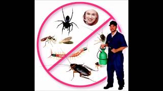 Pest Control fails to deal with a Telepest (Jessie)