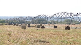 СПК «Донское» реализовал масштабный проект по мелиорации