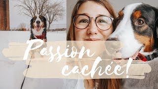 Une passion que je vous ai cachée! On parle de décorations de maison - Vlog 2 janvier 2019