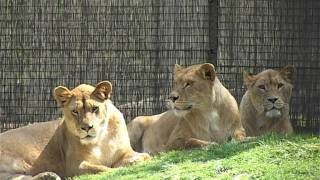 Zoo Veszprém