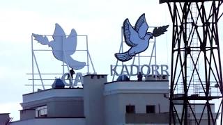 продажа квартир в 24 и 25 Жемчужинах Kadorr Group