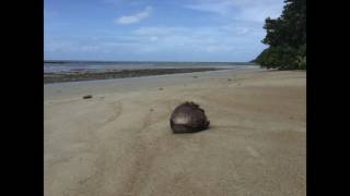 musique zen australie
