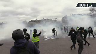 «Жёлтые жилеты» вышли на акцию протеста в Париже