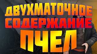 Двухматочное содержание пчелиних отводков дает хорошие медовые плоды