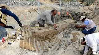 Были ли динозавры? / Шейх Ильяс Умаров