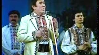 Teodor Negara - Doctore
