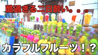 【最終章】酷い二日酔いで世界遺産の町に辿り着いた結果が散々だった件。（ラオス・Vlog）