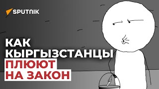 Как кыргызстанцы плюют на закон. Мультик Sputnik