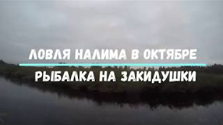 Ловля налима осенью