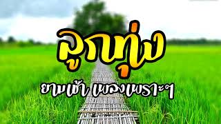 เพลงลูกทุ่งยามเช้าเพลงเพราะๆฟังเพลินๆ