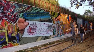 Вроцлав | Японский сад | Музей Университета Вроцлавского