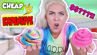 CHEAP VS EXPENSIVE PUTTY SLIME! WHICH PUTTY SLIME WAS BETTER?! | NICOLE SKYES