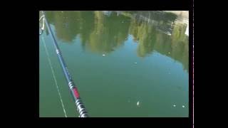 Crack Jack 58SP-SR of Pontoon21