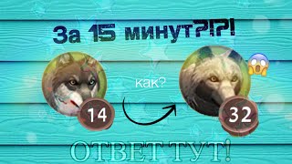 WildCraft ~ Способ как быстро прокачаться!? 0-30 ЛВЛ за 20 Минут!?☘️