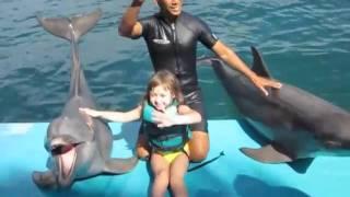 Starla gets picked to star in the Dolphin Show at Ocean World!!