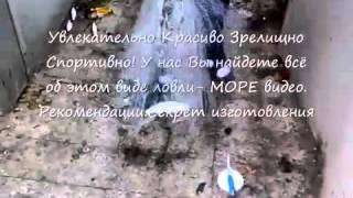 РЫБАЛКА ПОЛНЫЙ ПИПЕЦ     20 РАЗ ПЕРЕСМАТРИВАЛ    жгут жесть прикол ха офигеть круто мега сильн