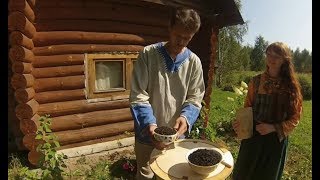 Иван-чай.