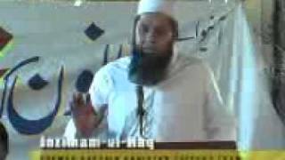 Inzimam viste 1
