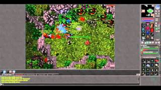 Tibia - Hydra mountain noobs