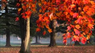 Rachmaninov Piano Concerto No. 2 Mov. 2