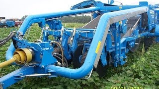 Standen | TSP1900 | Sweet Potato Harvester | USA