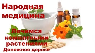 Денежное дерево