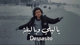 أغنية يا ليلي ويا ليلة + ديسباسيتو ? | Ya Lili + Despacito Noor Radwan ( Official Video )