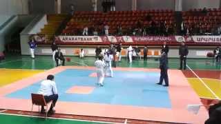Hayastani bac arajnutyun 2013 Narek Gevorgyan