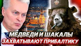 Медведи и Шакалы ЗАХВАТЫВАЮТ ПРИБАЛТИКУ, Невзоров учит детей, Немецкому адмиралу Влетело...