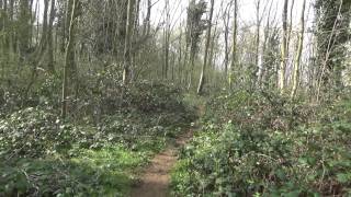 Sony HDR CX330e Test