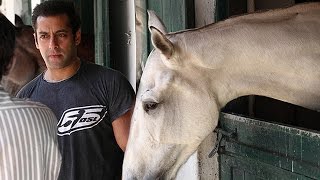 Salman Khan’s New Horses Are Named Bajrangi & Bhaijaan