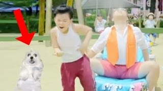 GANGNAM STYLE DOG (강남스타일 Funny Dancing Psy Horse Dance & Cute Baby Girl Puppy Doggie)