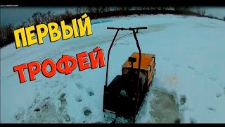 Первая рыбалка ПЕРВЫЙ ТРОФЕЙ. Мотобуксировщик MotoDog  The first fishing first trophy