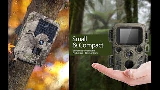 7 Фотоловушка с Алиэкспресс AliExpress Gadgets Hunting camera Крутые Гаджеты для охоты из Китая