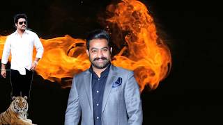 Tollywood king young tiger NTR's Crazy Videos