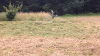 STIHL FS 460 CE-M & FS 240 ACTION