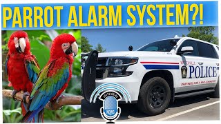 Homeowner Ignored Parrot Who Tried to Report Theft (ft. Anthony Lee)