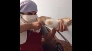 Cat Machine Gun