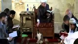 ماذا فعل الشيخ مع القطة في المسجد !!