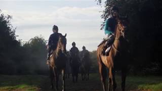 The Curragh Thoroughbred Trail - Michael O'Callaghan