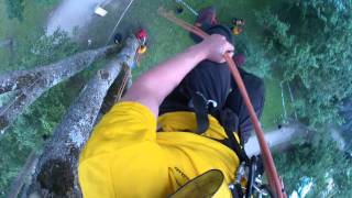 Heiki Hanso Footlock on Estonian Treeclimbing Championship 2012