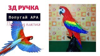 Попугай АРА. 3D ручка