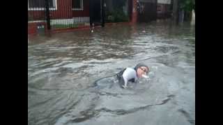 Amputee swimming the streets of Morón Argentina.