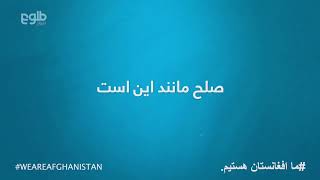 TOLOnews Live Stream