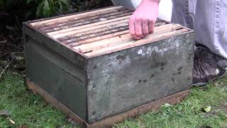 All You Need to Know - Bait Hive / Swarm trap / Swarm Lure