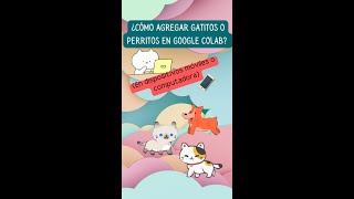 + ¿Cómo agregar los gatitos y perritos en Google Colab? | #shorts