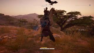 Прохождение Assassin's Creed Истоки Origins #24 Убежище заброшенного храма