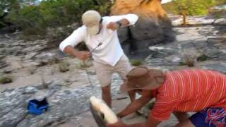 Caranha Rio das Mortes no GATO 10,5 Kg